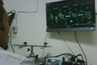 Inspección por microscopio.