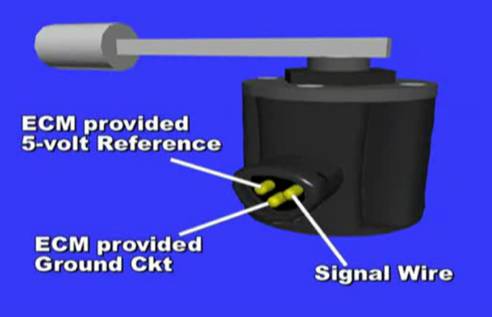 Sensor ECSP. Parte Externa