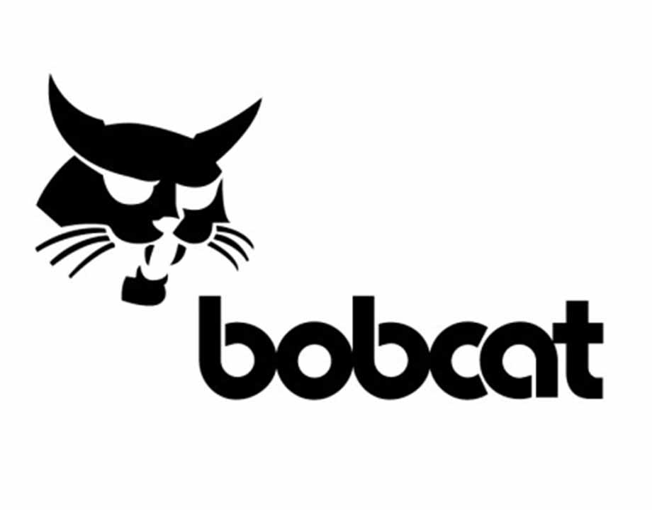 bobcat